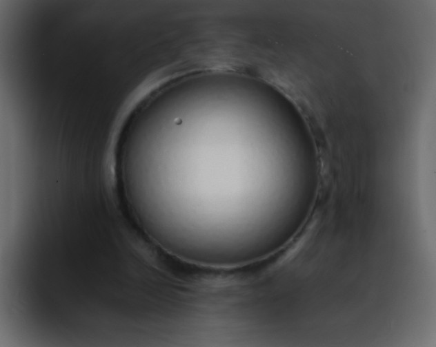 X0000092100246200710031217