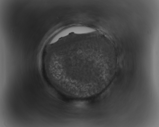 X0000092100247200710031217