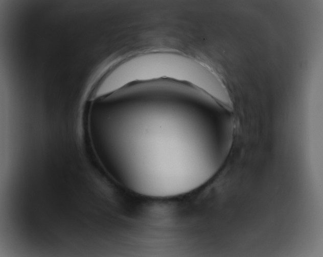 X0000092100248200710031217