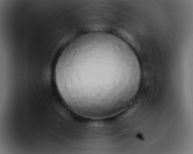 X0000092100250200710031217