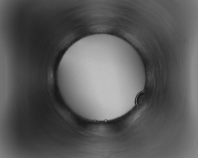 X0000092100254200710031217