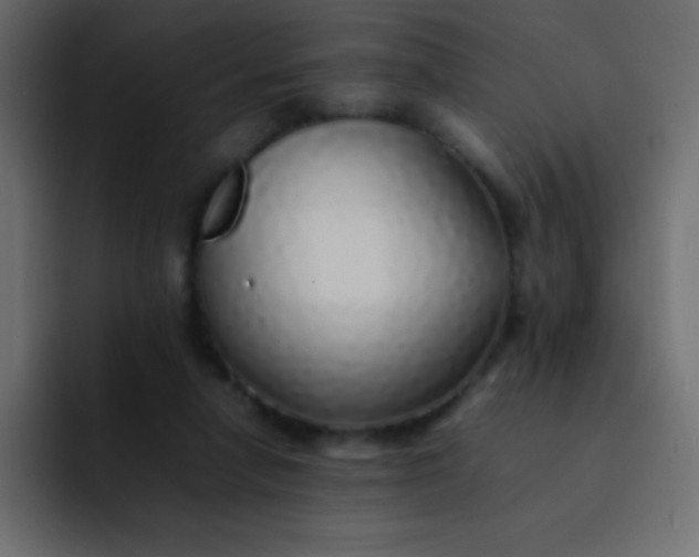 X0000092100258200710031217