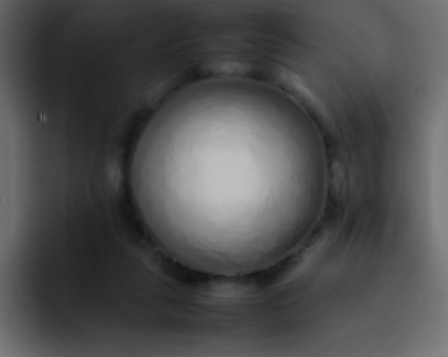 X0000092100259200710031217