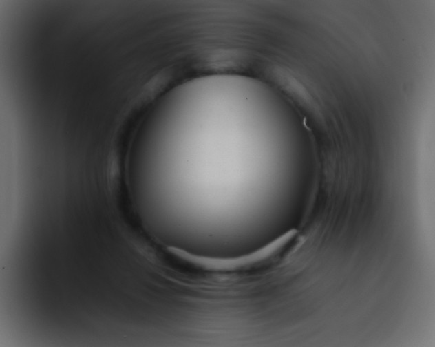 X0000092100260200710031217