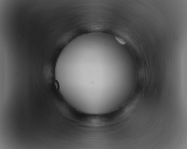 X0000092100264200710031217