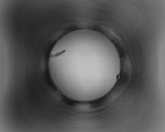 X0000092100266200710031217