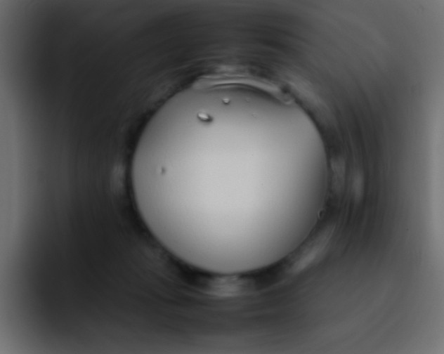 X0000092100269200710031217