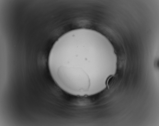 X0000092100279200710031218