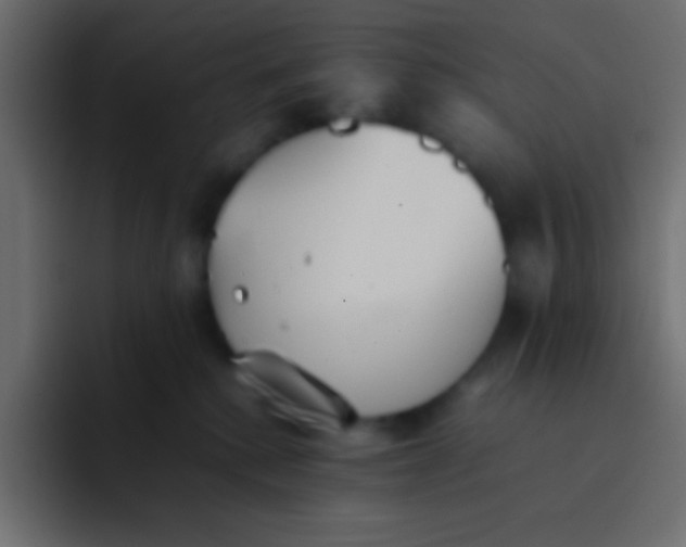 X0000092100280200710031218