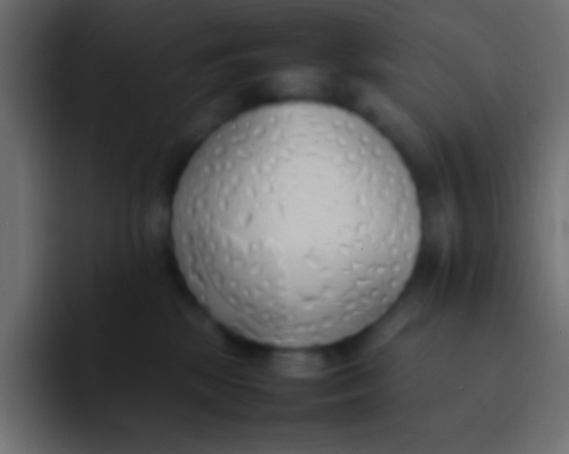 X0000092100281200710031218