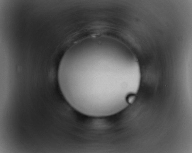 X0000092100283200710031218