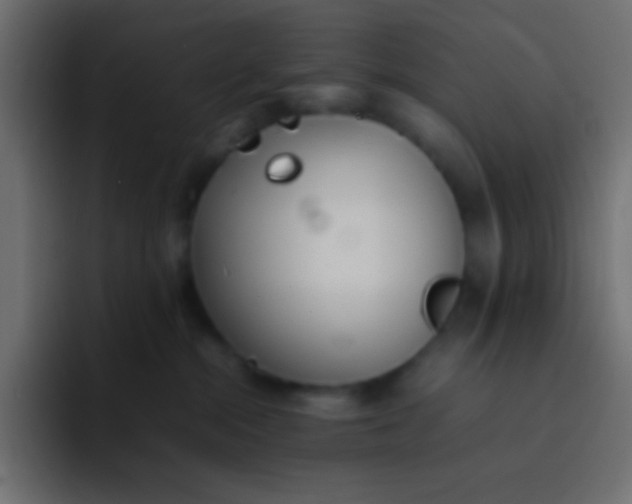 X0000092100284200710031218