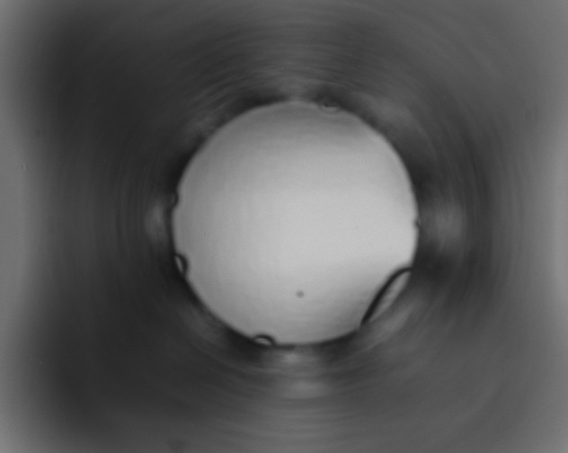 X0000092100286200710031218