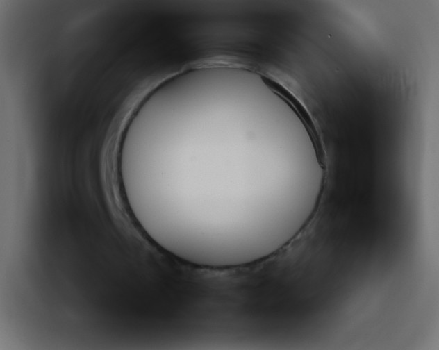 X0000092100289200710031217