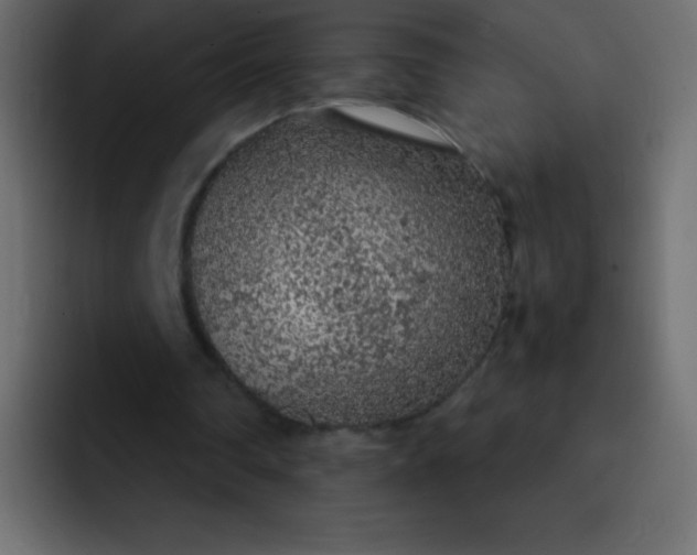 X0000092100290200710031217