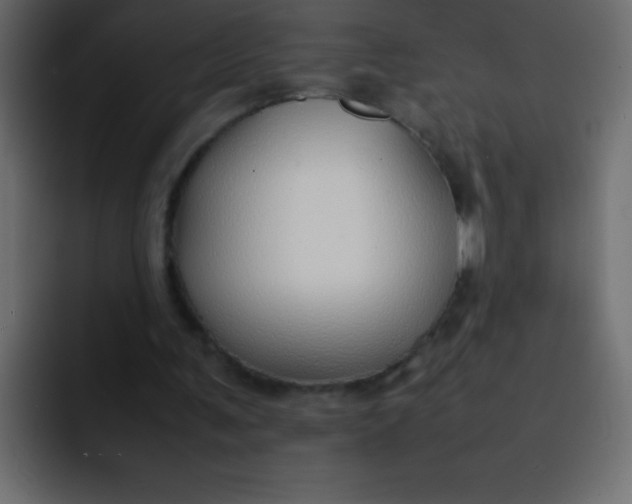 X0000092100291200710031217