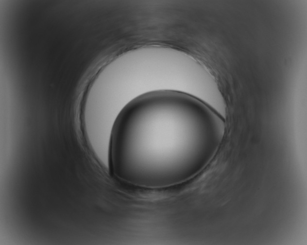 X0000092100293200710031217