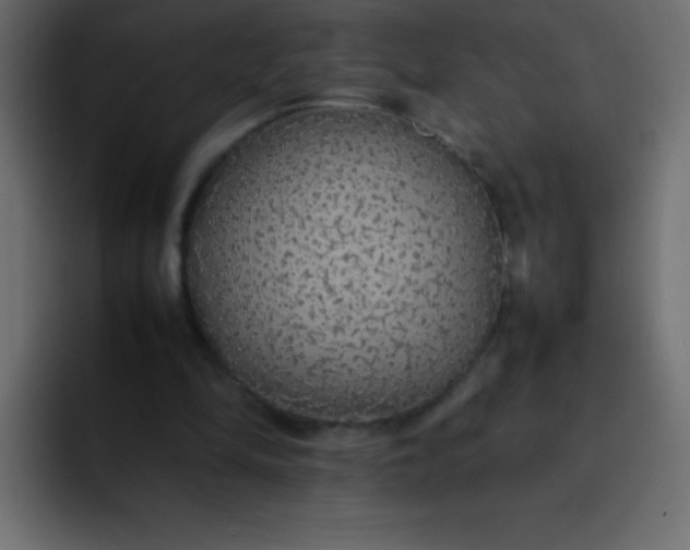 X0000092100294200710031217