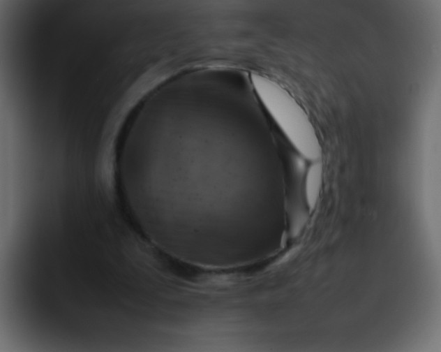 X0000092100295200710031217