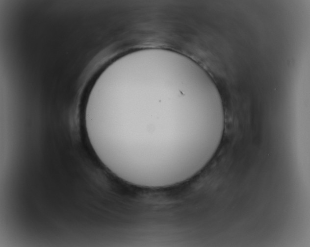 X0000092100296200710031217