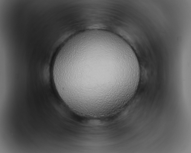 X0000092100298200710031217