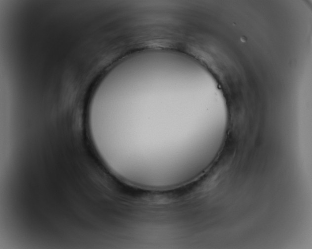 X0000092100299200710031217