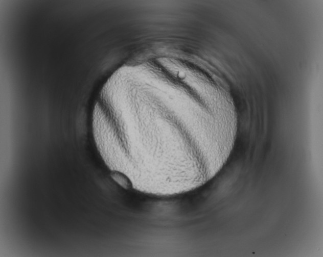 X0000092100303200710031217