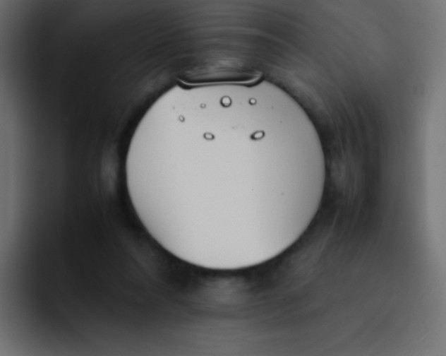 X0000092100304200710031217