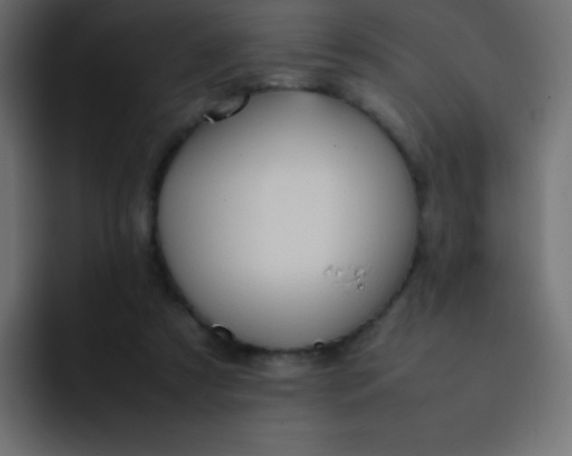 X0000092100305200710031217