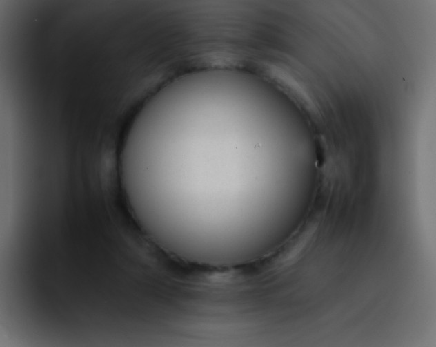 X0000092100306200710031217