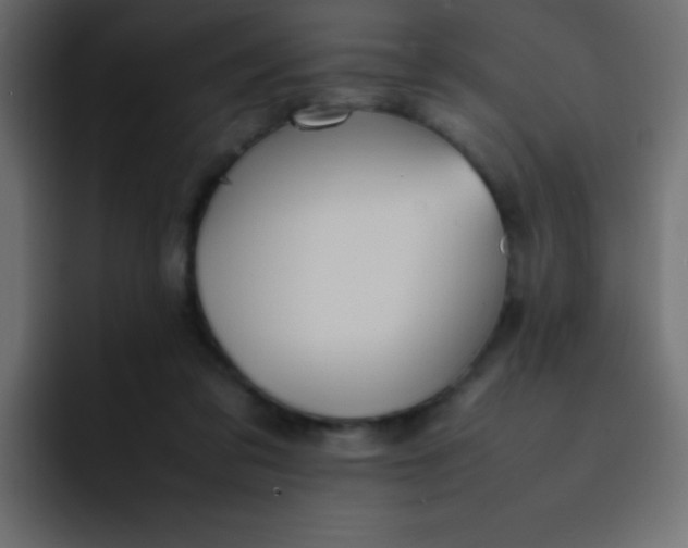 X0000092100309200710031217