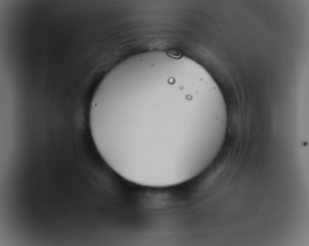 X0000092100311200710031217