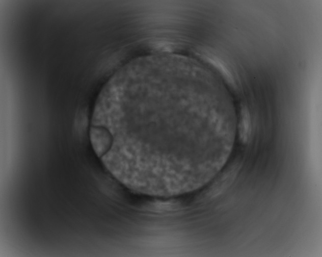 X0000092100314200710031217