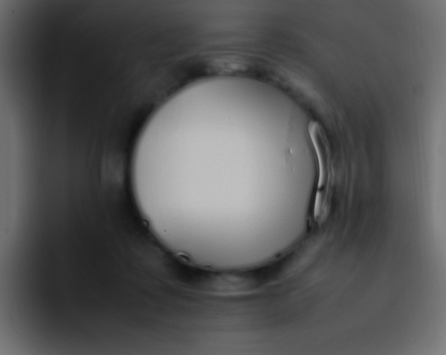 X0000092100315200710031217