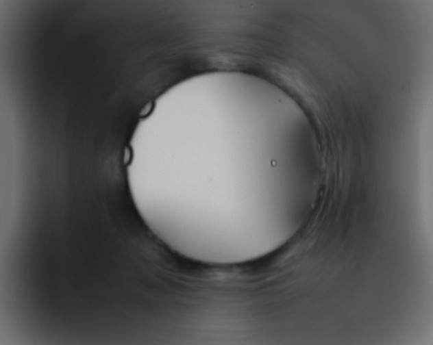 X0000092100317200710031217