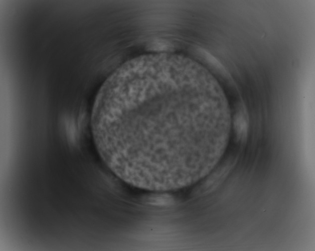 X0000092100322200710031217