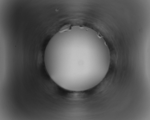 X0000092100323200710031217