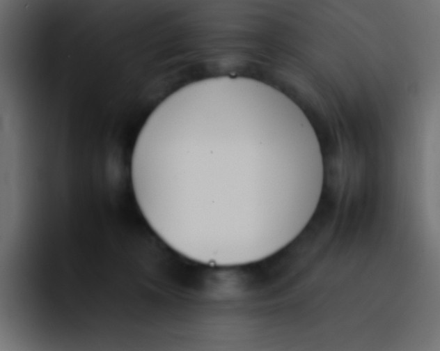 X0000092100324200710031217