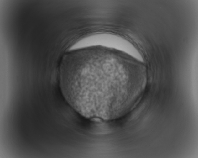 X0000092100325200710031217