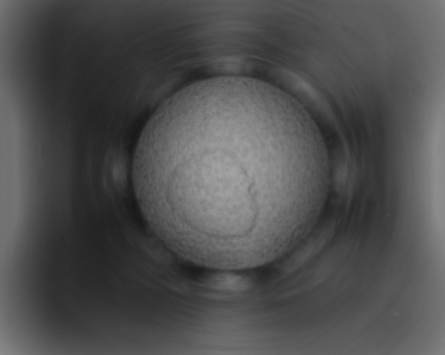 X0000092100326200710031217