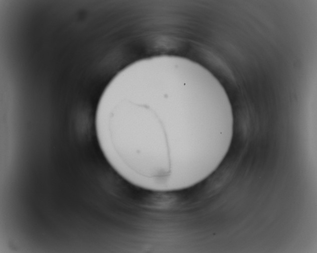 X0000092100328200710031217