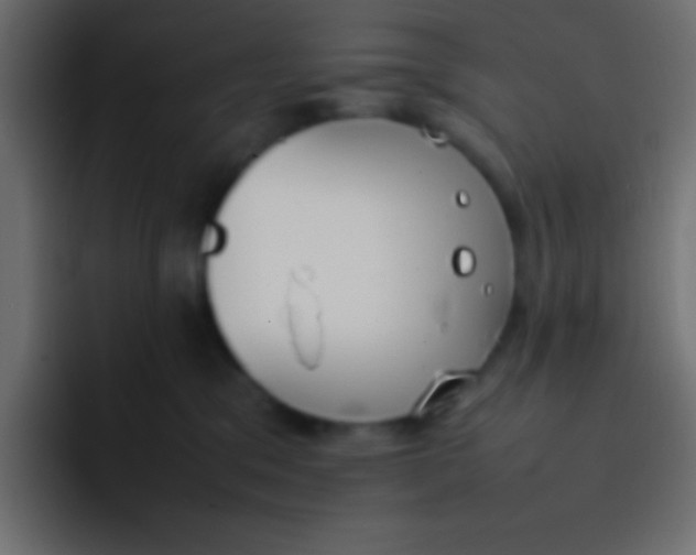 X0000092100329200710031217