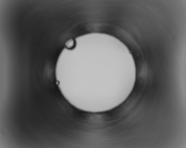 X0000092100332200710031217