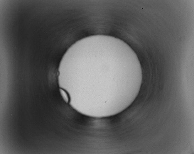 X0000092100336200710031217