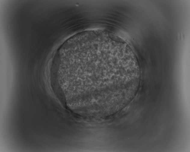 X0000092100337200710031216