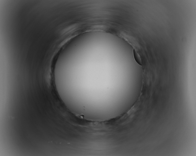 X0000092100338200710031216