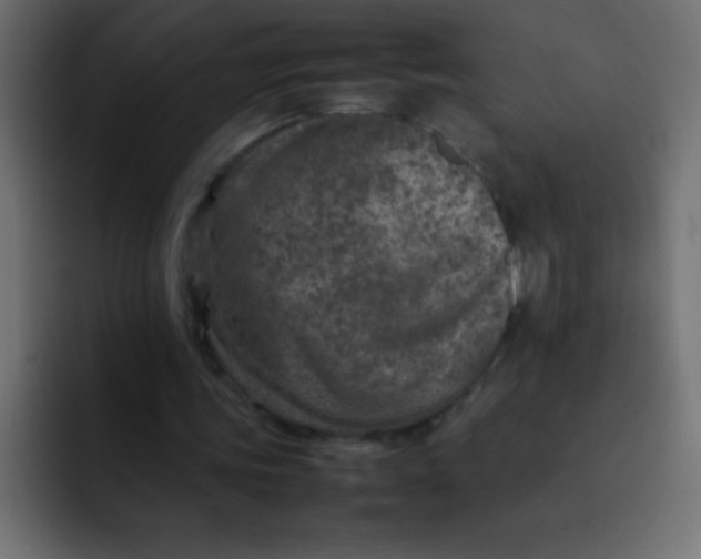 X0000092100339200710031216