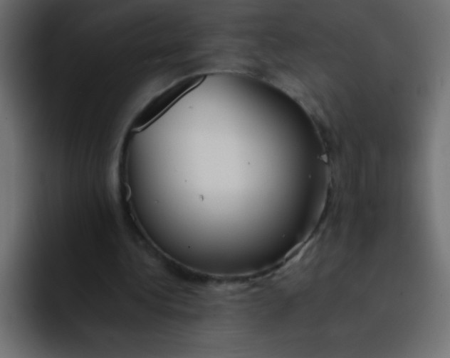 X0000092100340200710031216