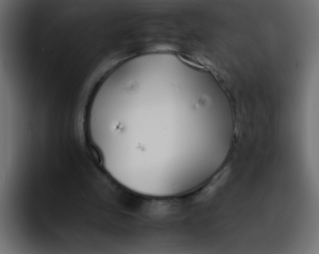 X0000092100341200710031216