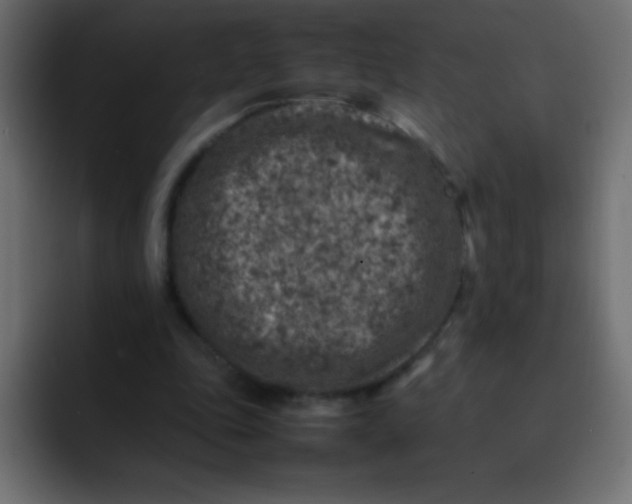 X0000092100343200710031216